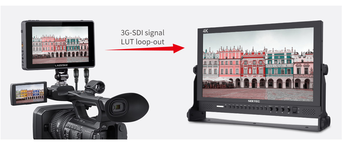 field director monitor